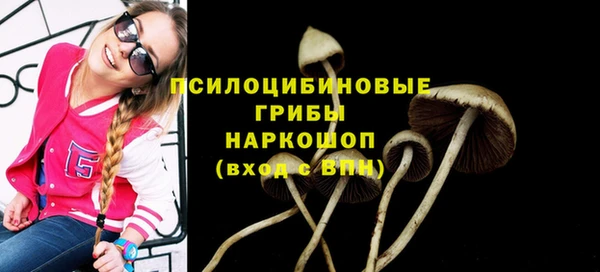 гидра Алзамай