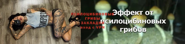 гидра Алзамай