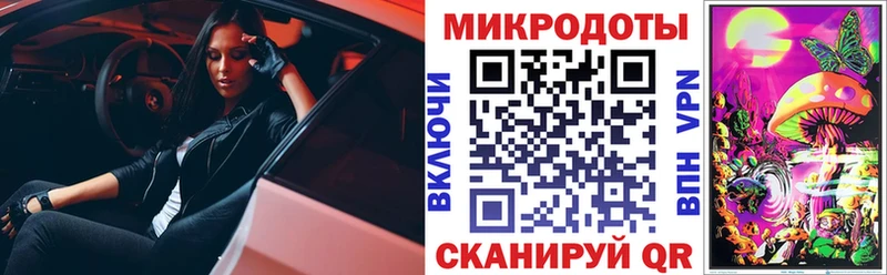 наркота  Дмитриев  Псилоцибиновые грибы Psilocybe 