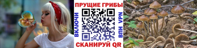 Галлюциногенные грибы мухоморы Дмитриев